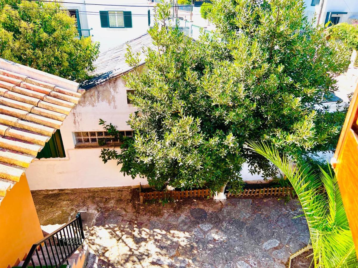 Estoril Seaside Guest House エクステリア 写真